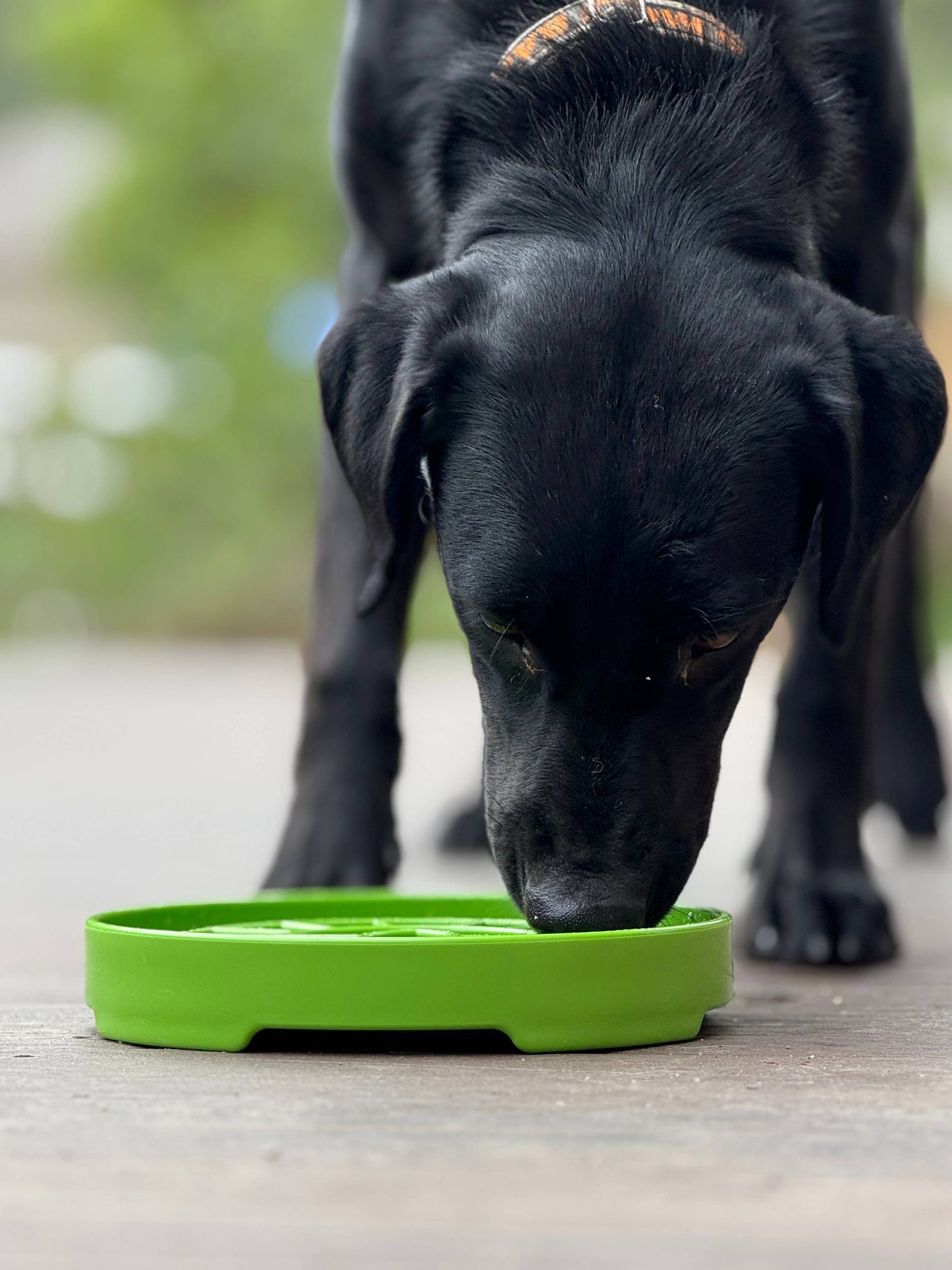 Garden Design eTray Enrichment Slow Feeder Tray for Dogs - Apple Green