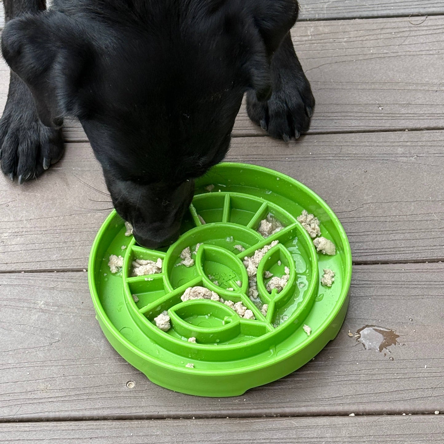 Garden Design eTray Enrichment Slow Feeder Tray for Dogs - Apple Green