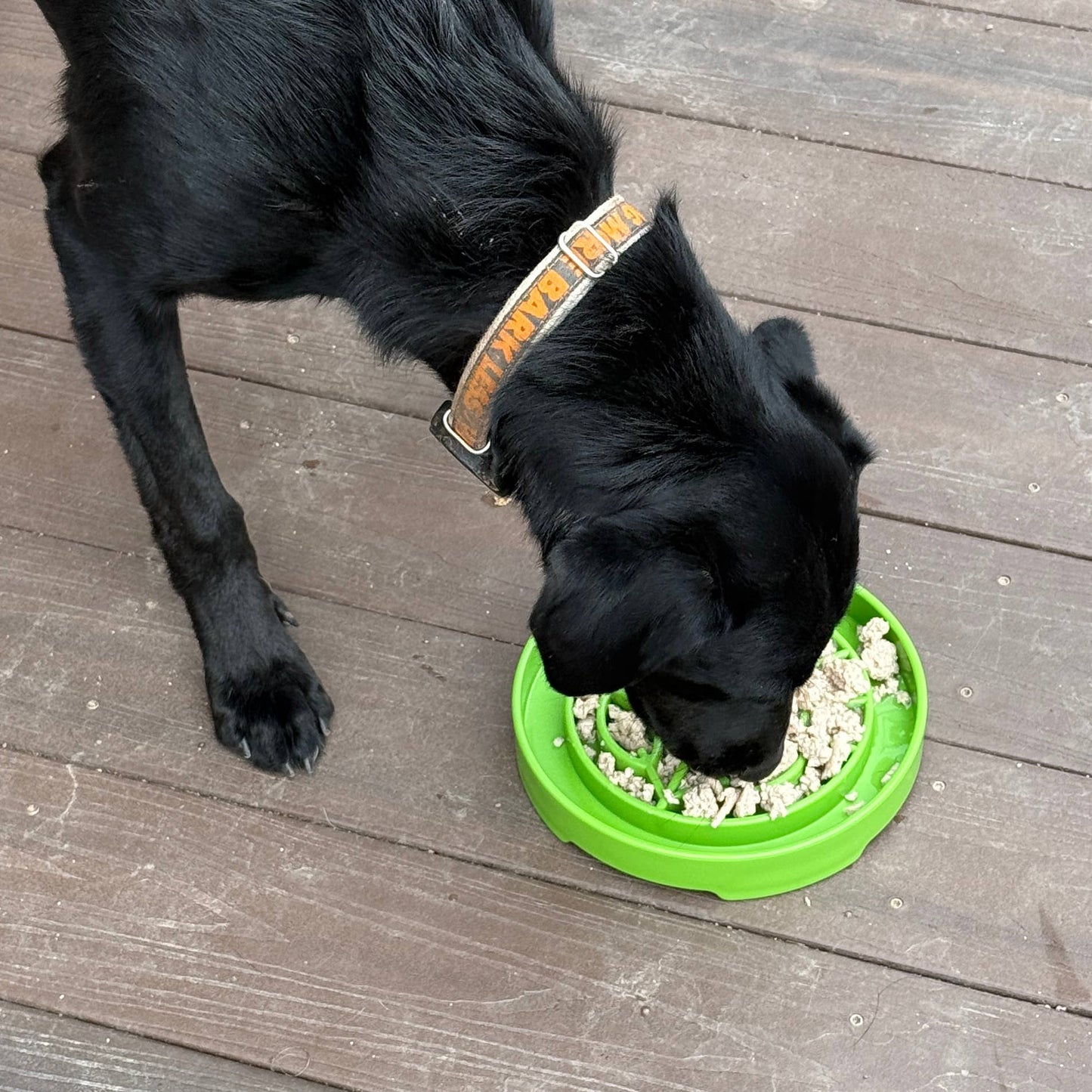 Garden Design eTray Enrichment Slow Feeder Tray for Dogs - Apple Green