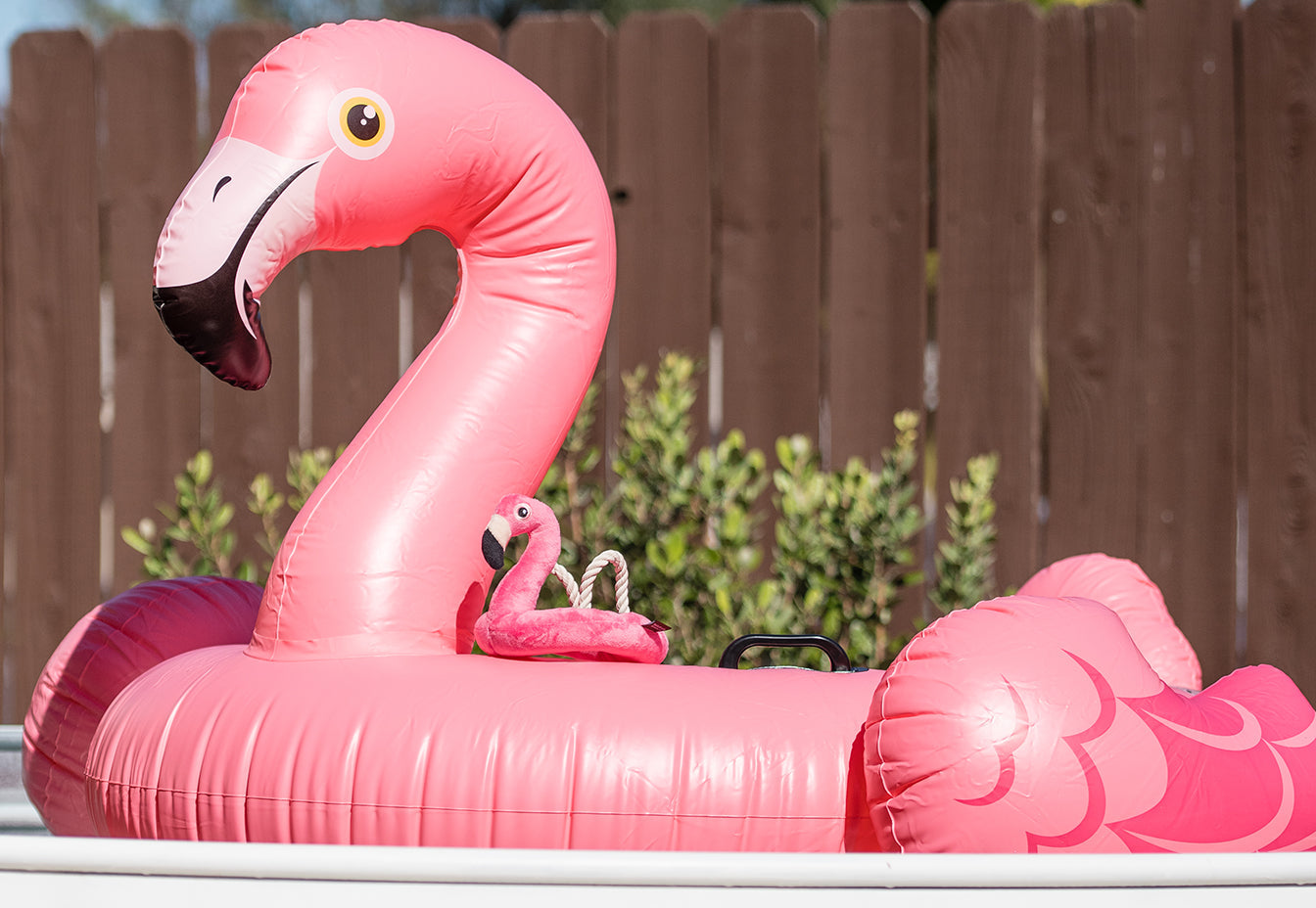 Tropical Paradise_Flamingo Float image 2