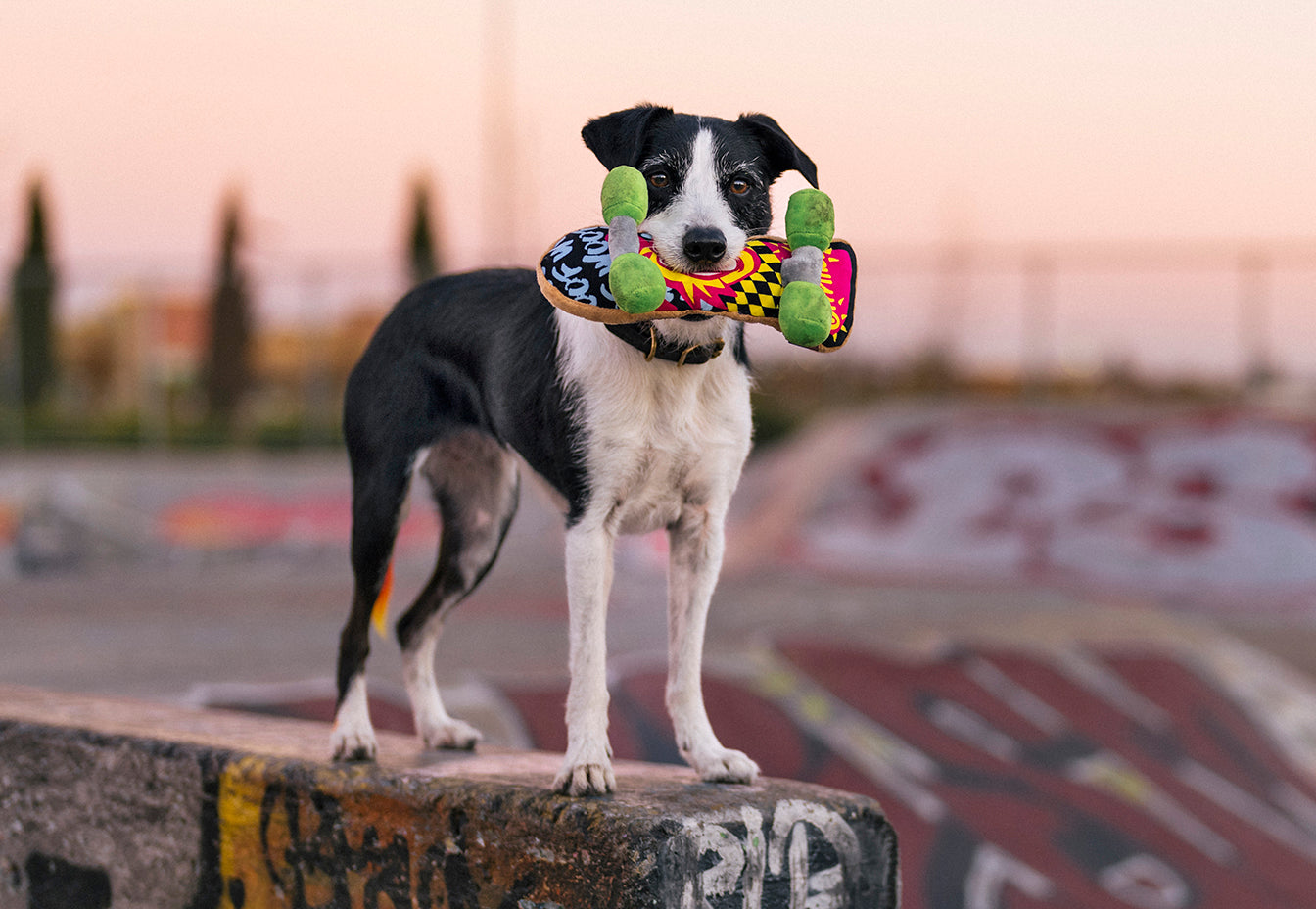 90s Classic - Skateboard image 1