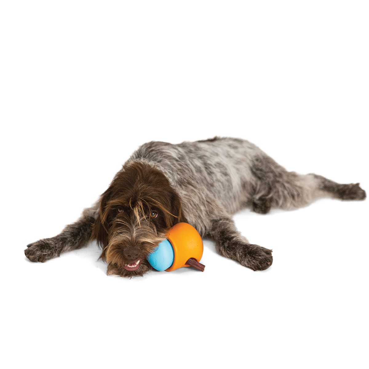 West Paw Toppl image 6