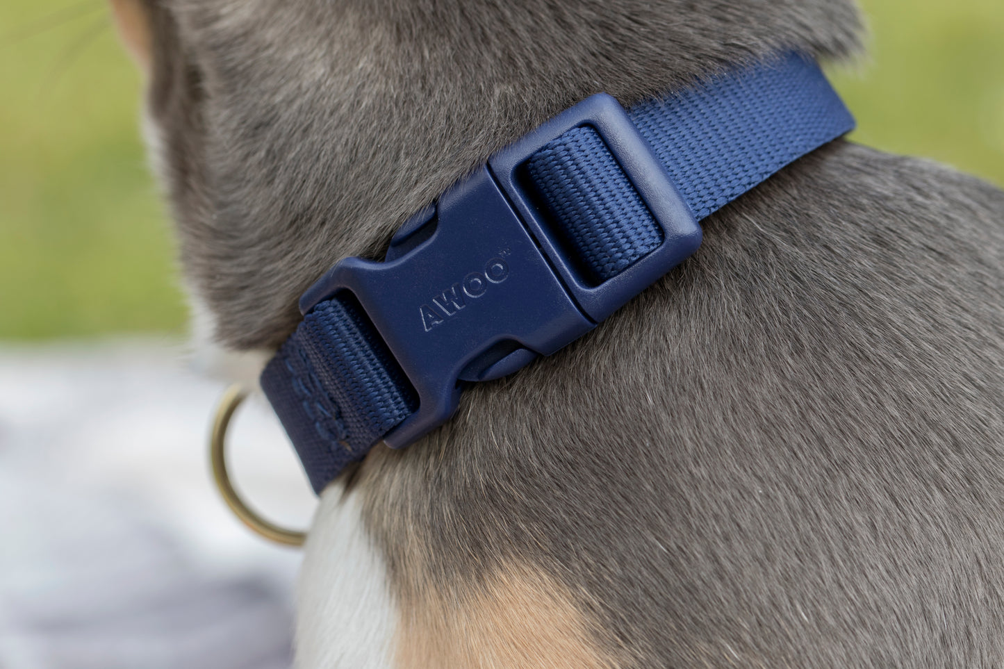 AWOO Pack Collar image 2