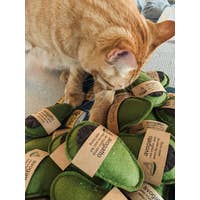 Organic Catnip Wool Avogatto image 2