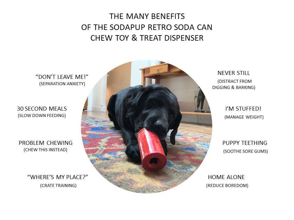 Retro Soda Can Durable ChewToy & Treat Dispenser image 1