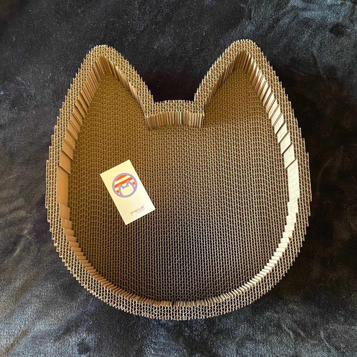 Cat Scratcher Bed image 0