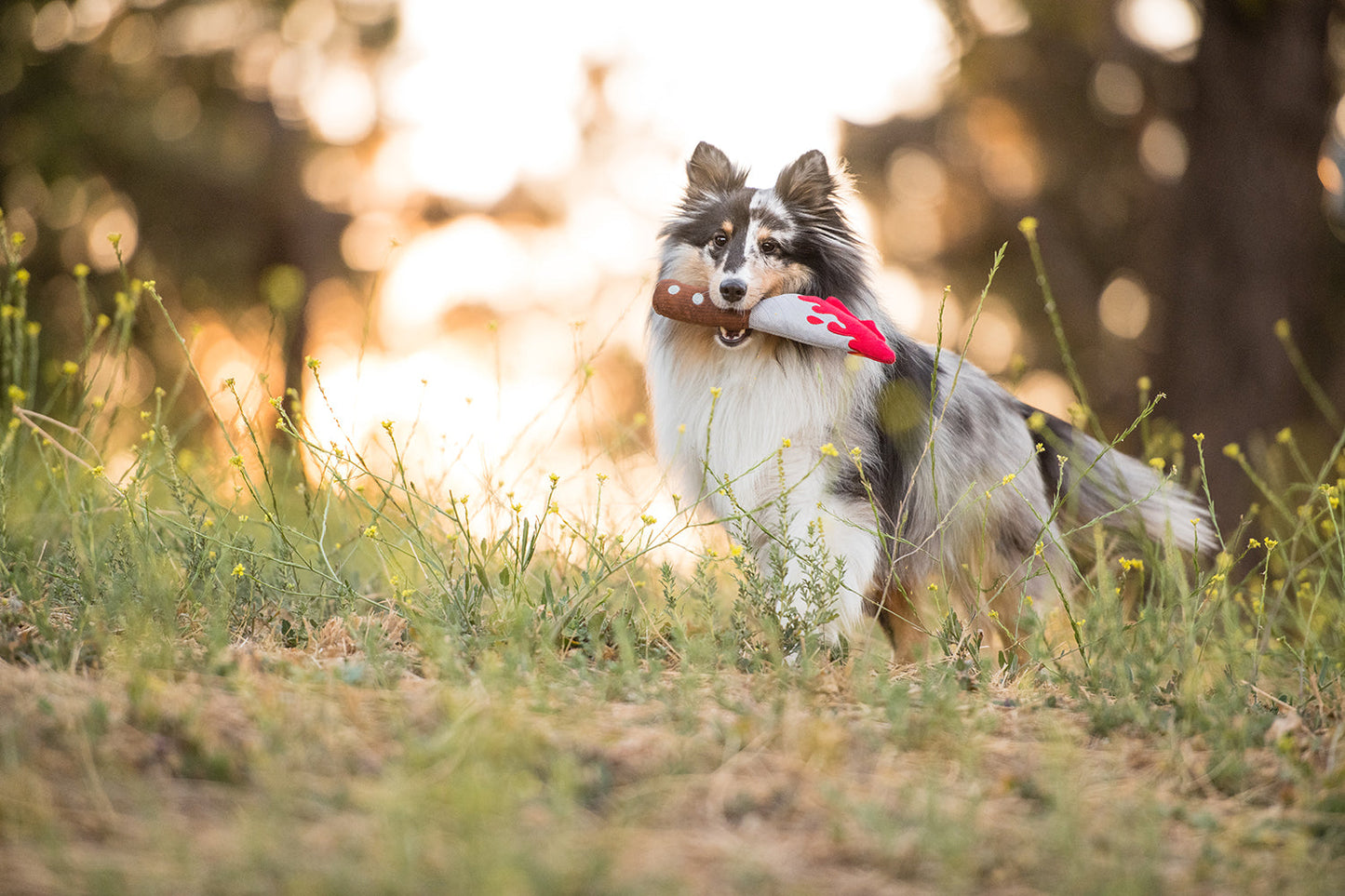 Doggy Dagger image 2