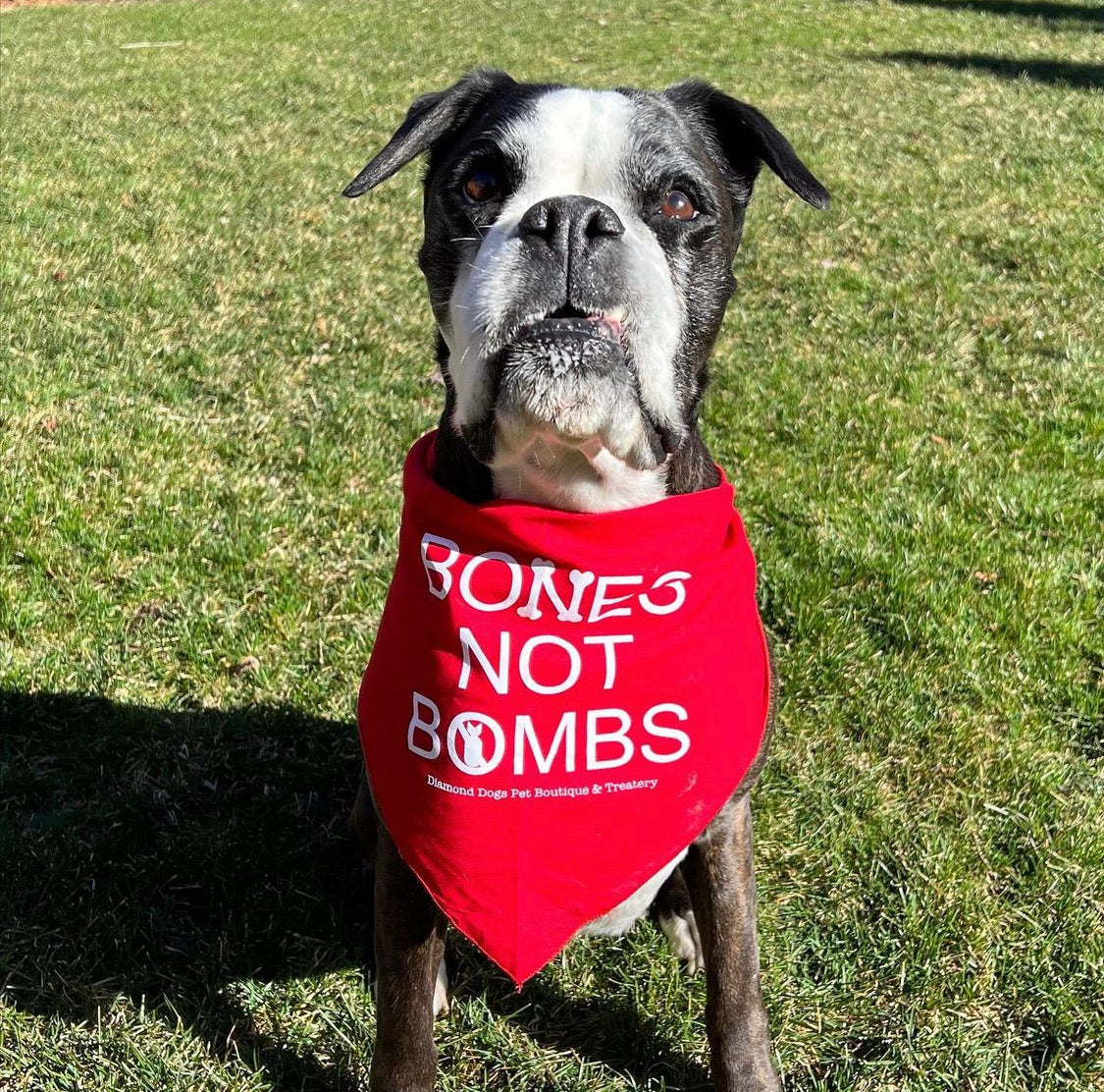 "Bones Not Bombs" International Animal Rescue Bandanas image 3