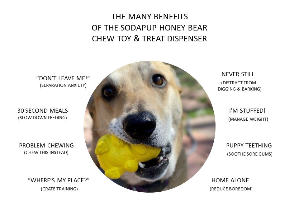 Honey Bear Chew Toy & Treat Dispenser image 2