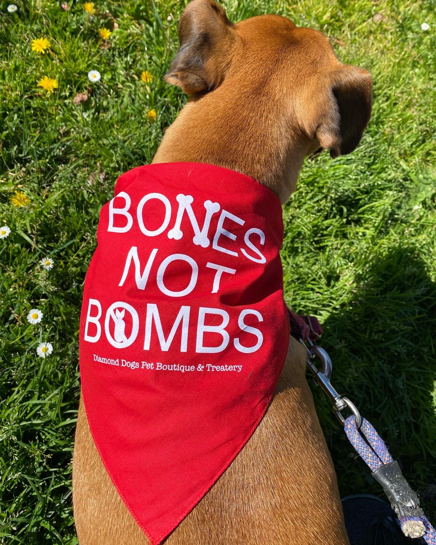 "Bones Not Bombs" International Animal Rescue Bandanas image 2