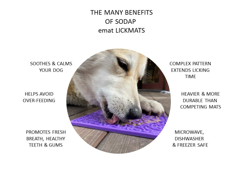 Bones Enrichment Lick Mat image 1