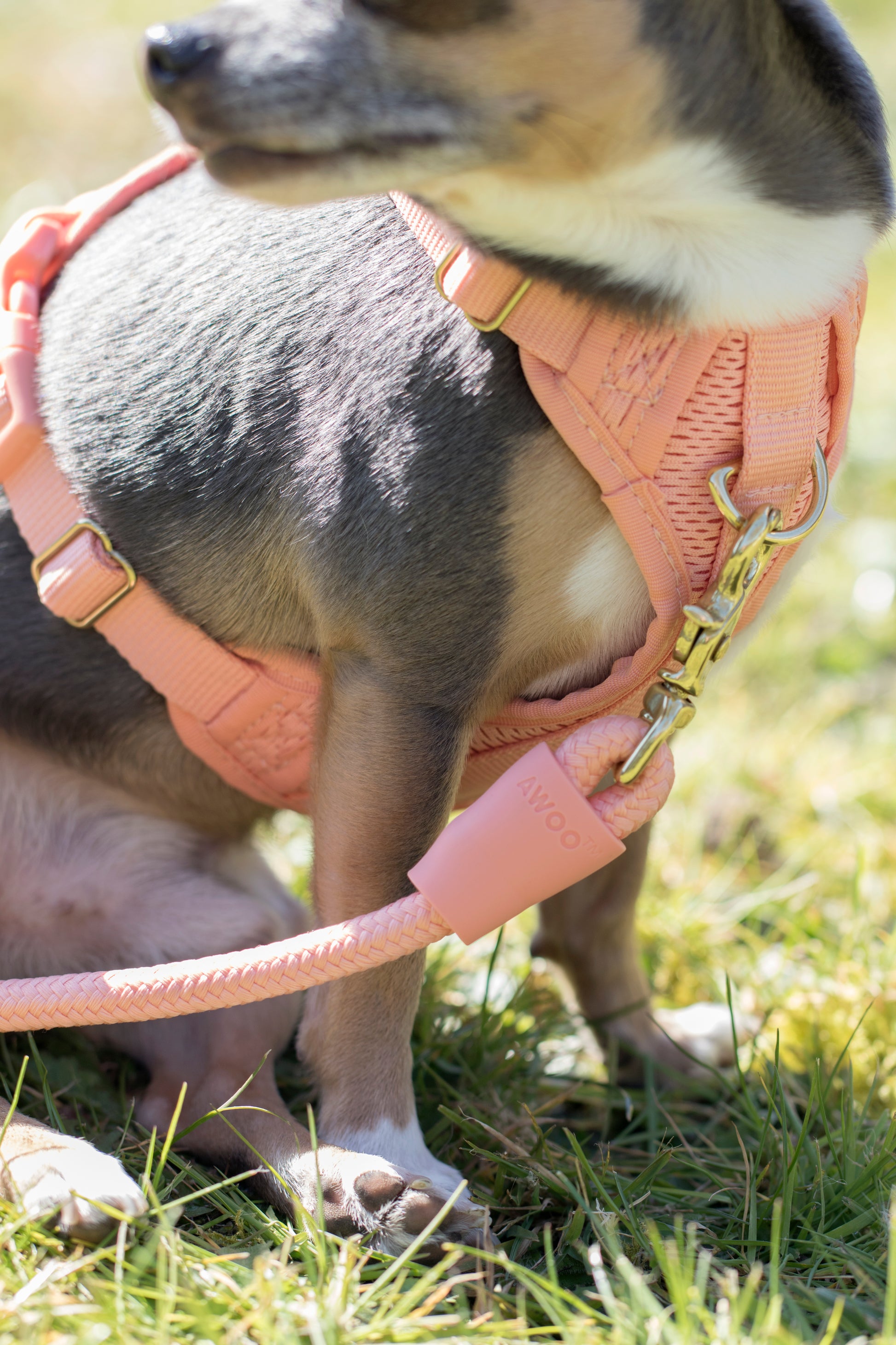 AWOO Huggie Harness image 2