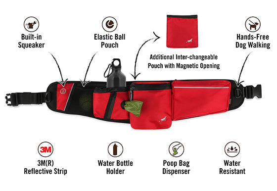 Pet P.L.A.Y. Explorer Pack