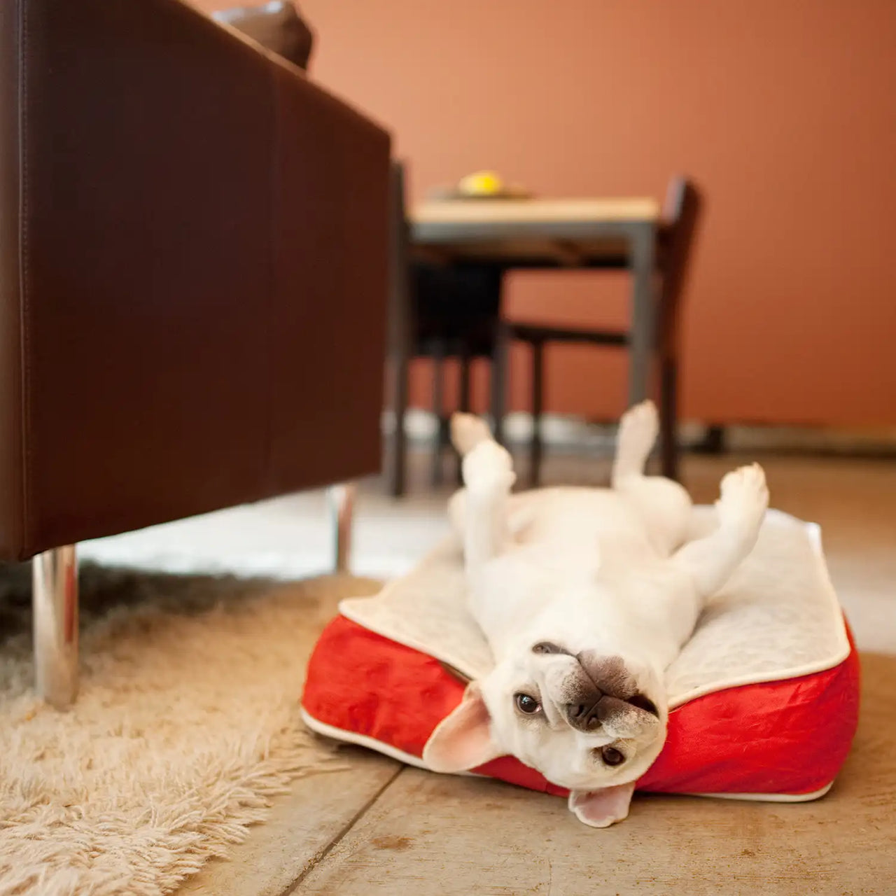 PET PLAY Serengeti Rectagular Dog Bed