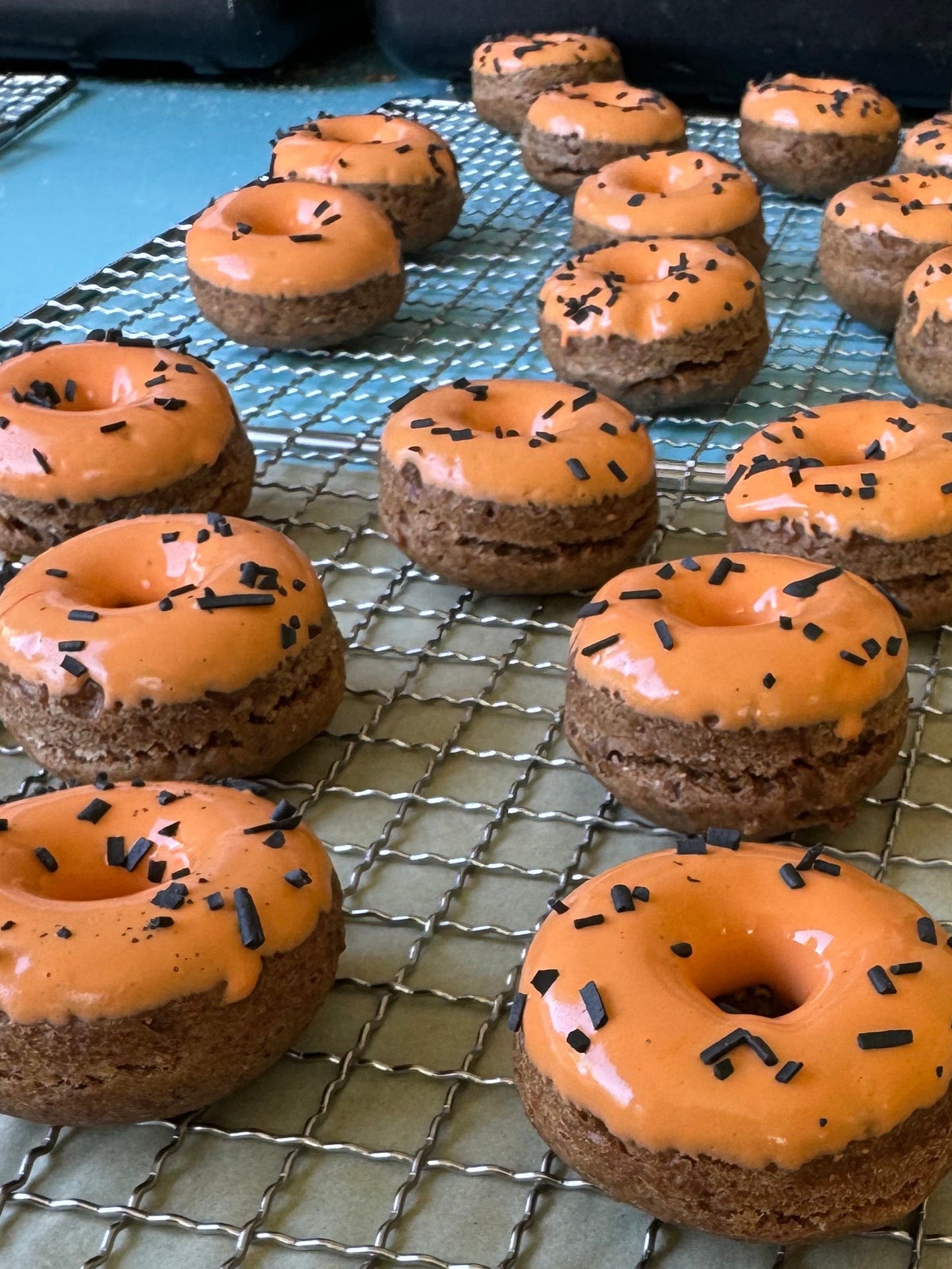 Almond Butter Turkey Bacon Doggy Donuts