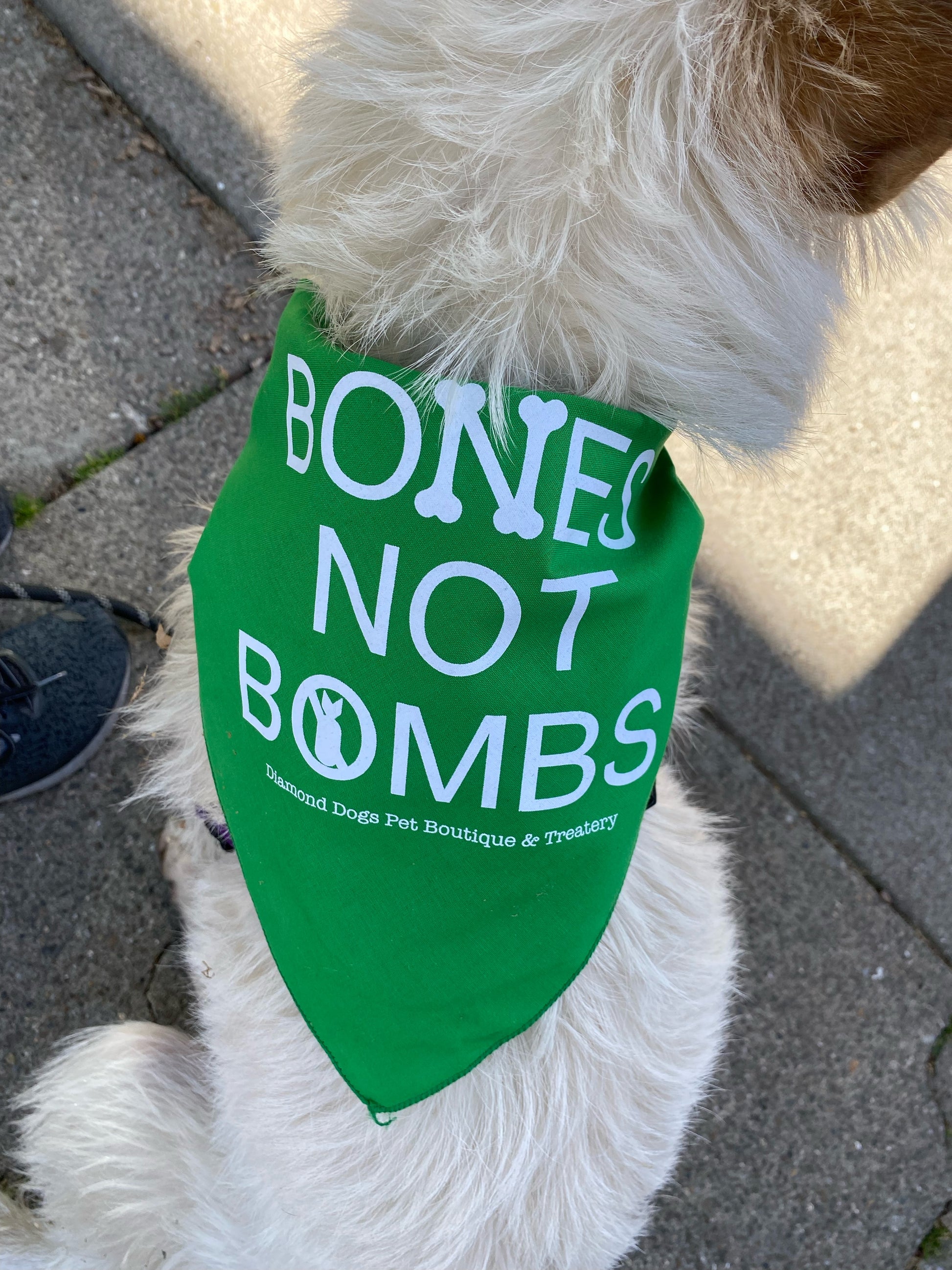 "Bones Not Bombs" International Animal Rescue Bandanas image 1