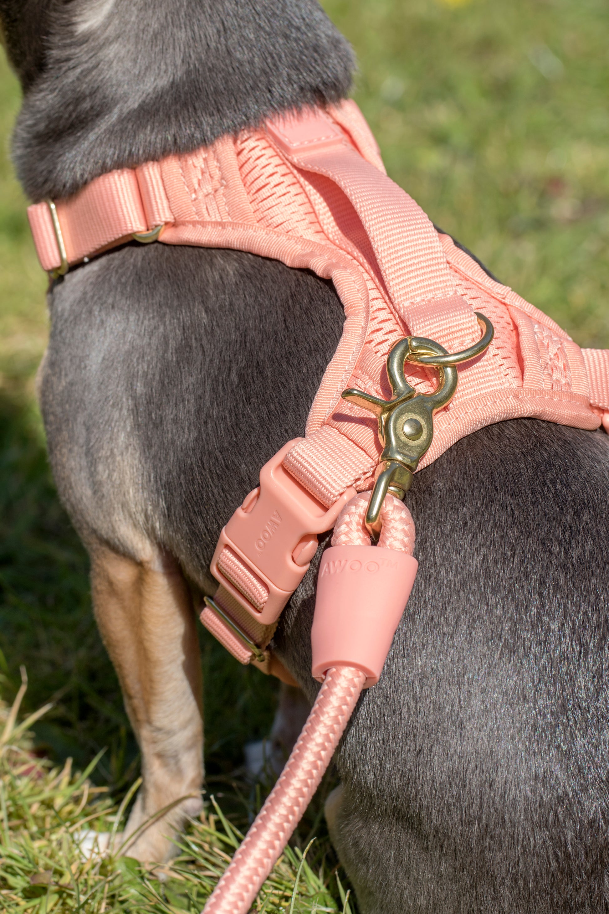 AWOO Huggie Harness image 1